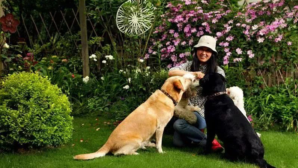 Pet & Garden